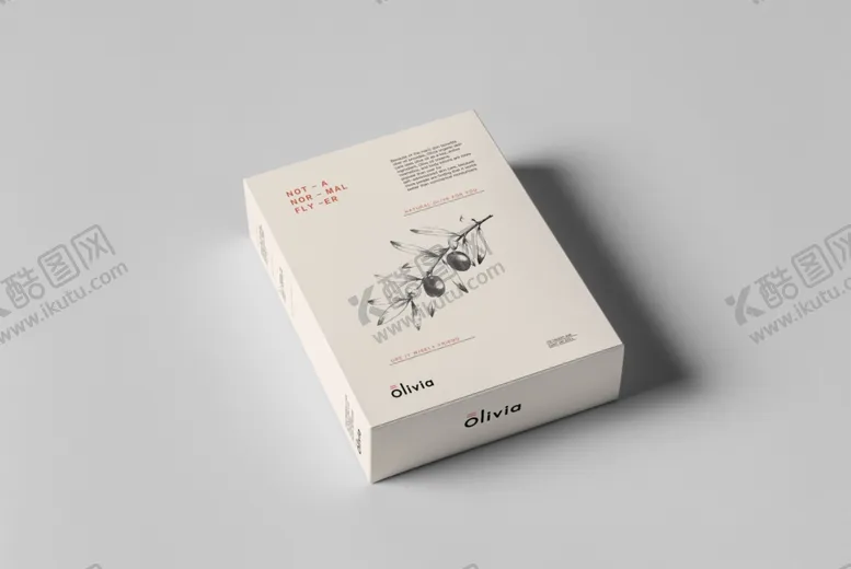 编号：46124210160451499242【酷图网】源文件下载-盒子样机