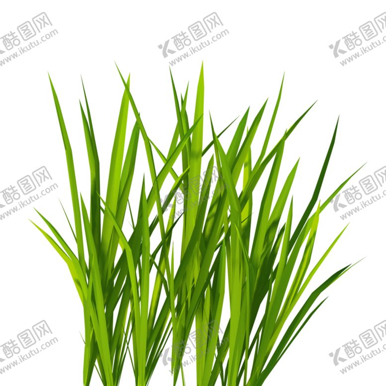 编号：86859707071008258809【酷图网】源文件下载-青草小草