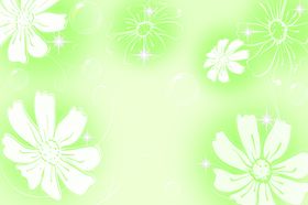 菊花邹菊