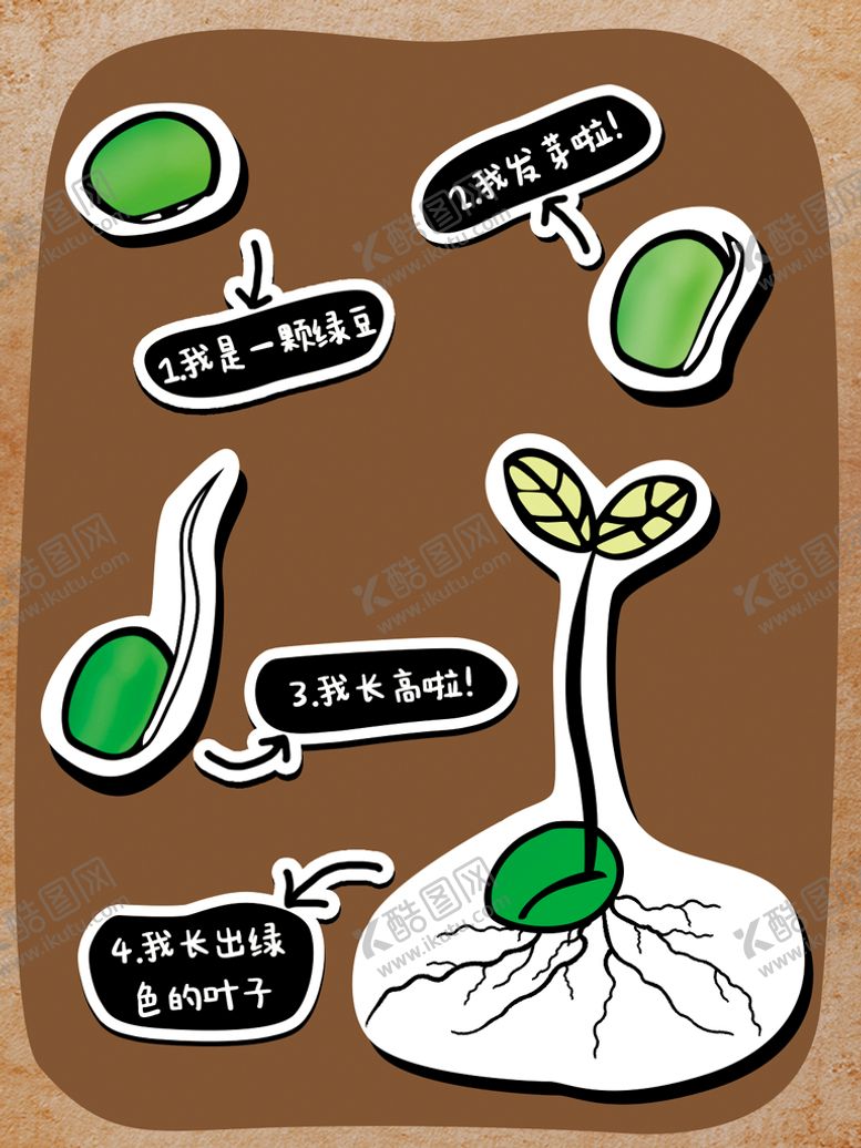 编号：38072409171354330543【酷图网】源文件下载-豆子成长过程图