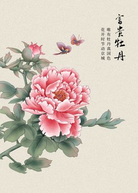国画荷花