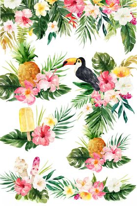 热带花鸟水彩图案设计
