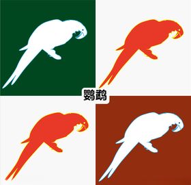 鹦鹉