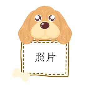 小狗牌照框