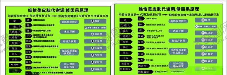 编号：28247510040445548861【酷图网】源文件下载-皮肤管理新城代谢过程
