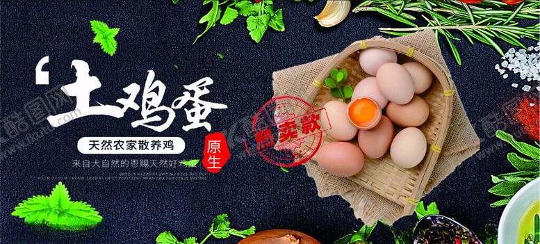 编号：23348201131754107956【酷图网】源文件下载-鸡蛋