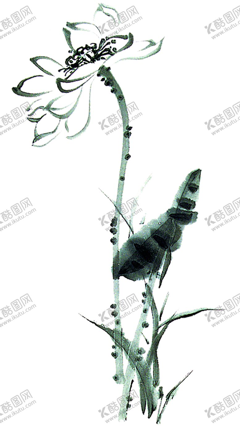 编号：60704910081532312162【酷图网】源文件下载-水墨