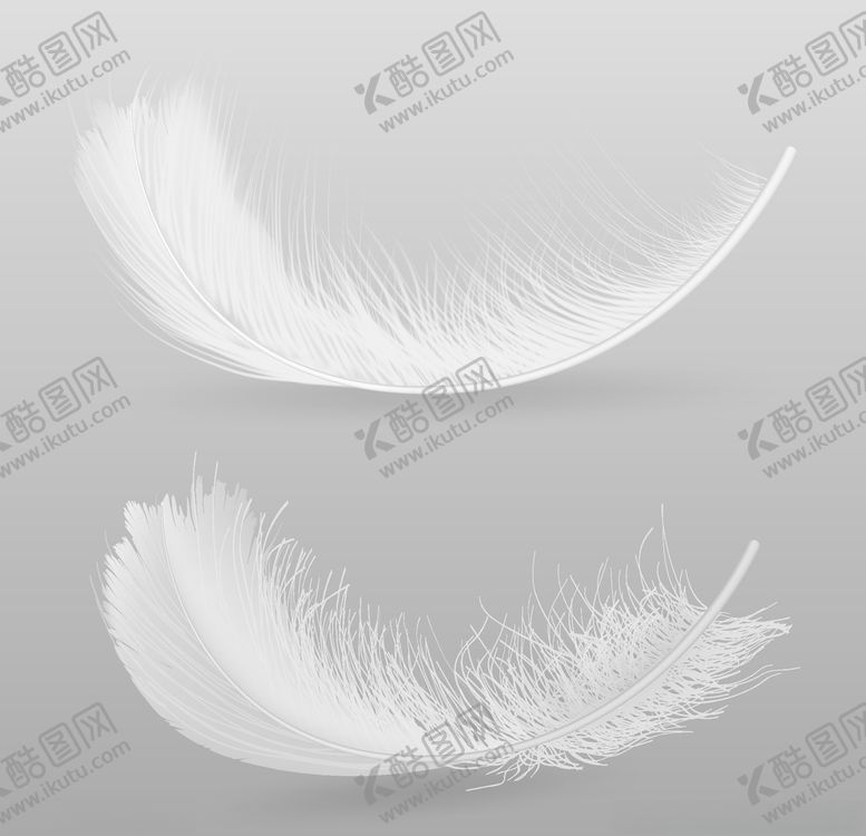 编号：59790910071830256896【酷图网】源文件下载-羽毛