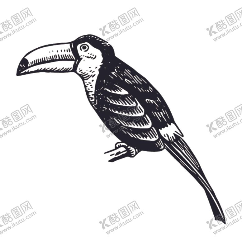 编号：32708209170613488001【酷图网】源文件下载-飞鸟线稿绘画图案