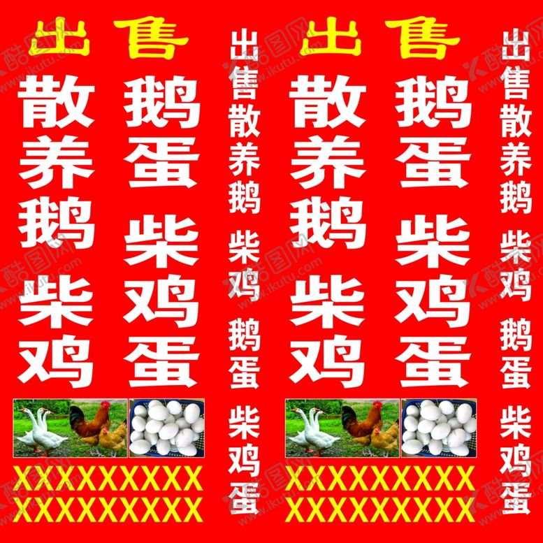 编号：41080405052351413136【酷图网】源文件下载-散养鹅
