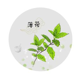 薄荷绿海报设计框