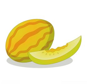 矢量卡通哈密瓜金瓜甜瓜
