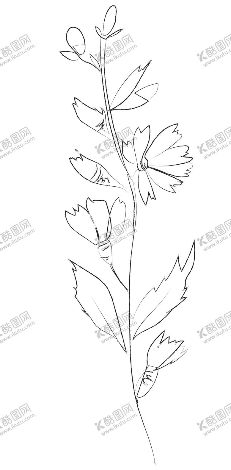 编号：70053105130938148427【酷图网】源文件下载-手绘植物花卉