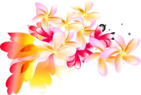浪漫素材鲜花超市传统牛郎