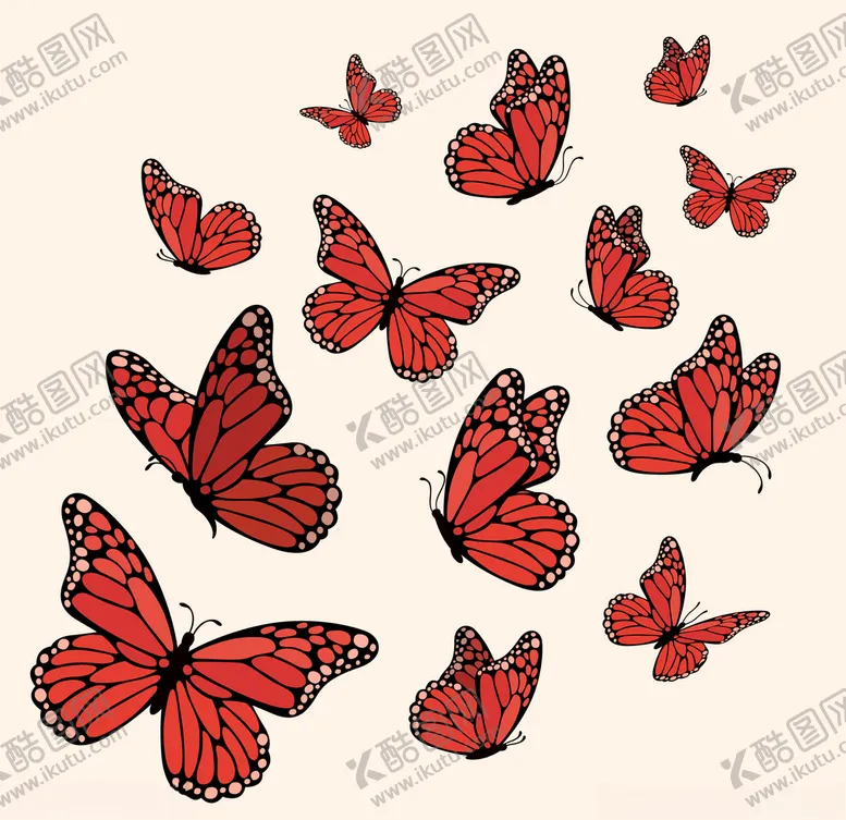 编号：89156604290036594153【酷图网】源文件下载-蝴蝶昆虫动物