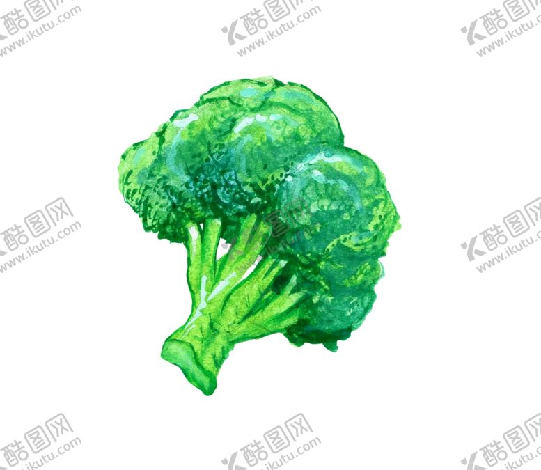 编号：73564009170220171121【酷图网】源文件下载-菜花