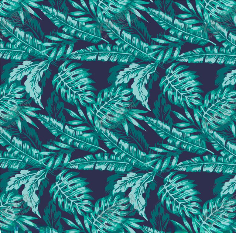 编号：88991210011246288861【酷图网】源文件下载-热带树叶