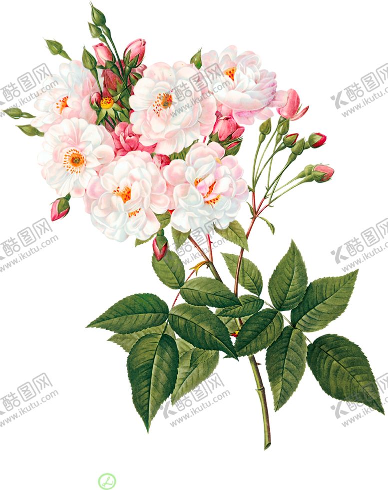 编号：49493809201533451949【酷图网】源文件下载-手绘花