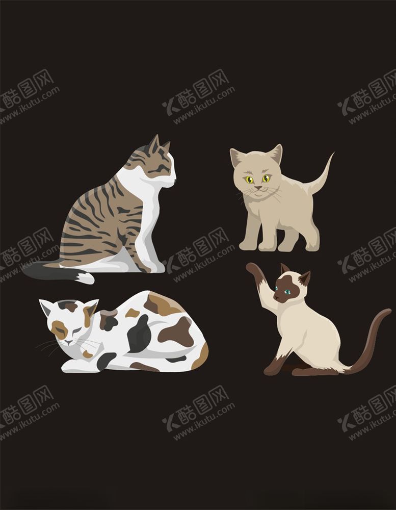 编号：26321910060708471631【酷图网】源文件下载-矢量猫
