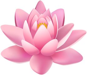 莲花