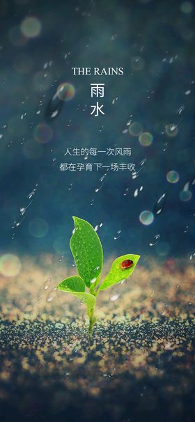 清新蓝色雨水谷雨节气摄影活动