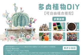 DIY多肉