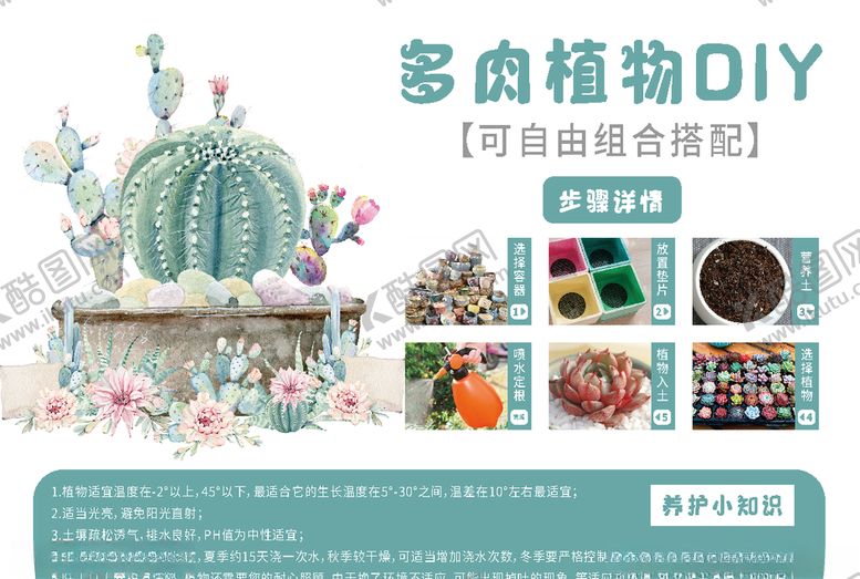 编号：42567910261702105636【酷图网】源文件下载-多肉DIY