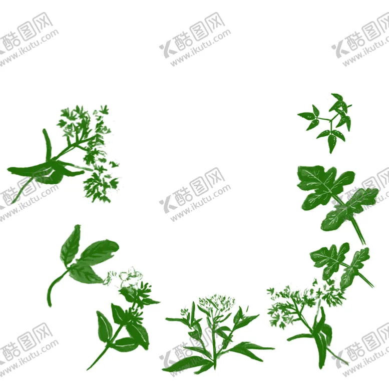 编号：79204404171239028691【酷图网】源文件下载-草本植物药材
