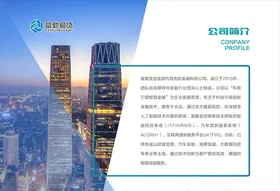 金融公司简介