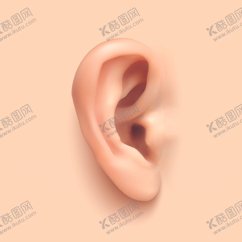 编号：81786710182015575434【酷图网】源文件下载-耳部结构解剖图矢量图