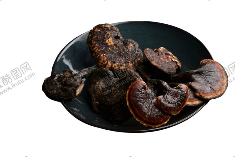 编号：98533010011201186109【酷图网】源文件下载-灵芝