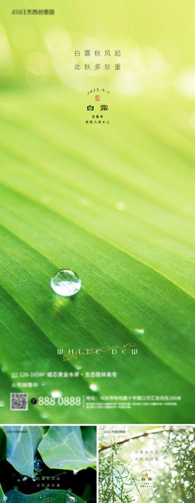 地产白露节气生态海报