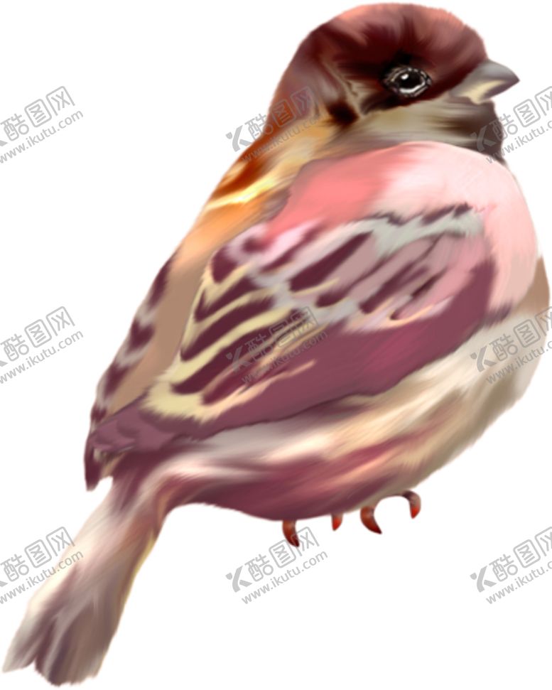 编号：65370309212238444781【酷图网】源文件下载-麻雀