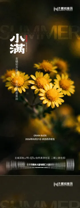 小满麦田二十四节气节日海报2026