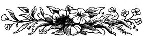 花纹边框