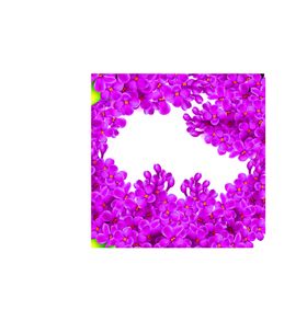 花素材