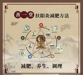 养生经络管