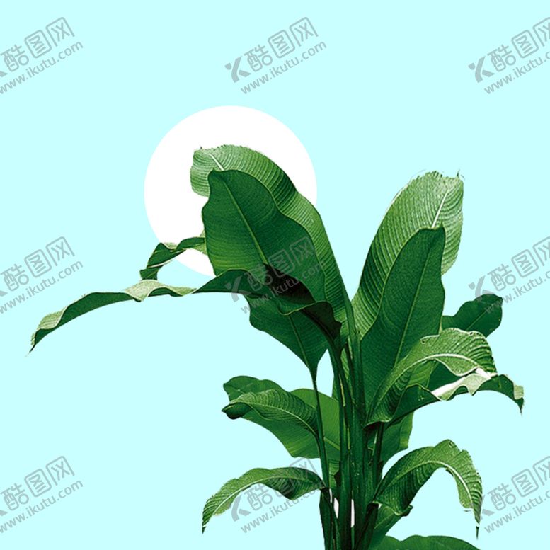编号：18473509152226236957【酷图网】源文件下载-发财树 玄关 山水画 艺术画 花鸟梅花