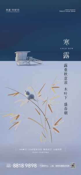 寒露海报图片