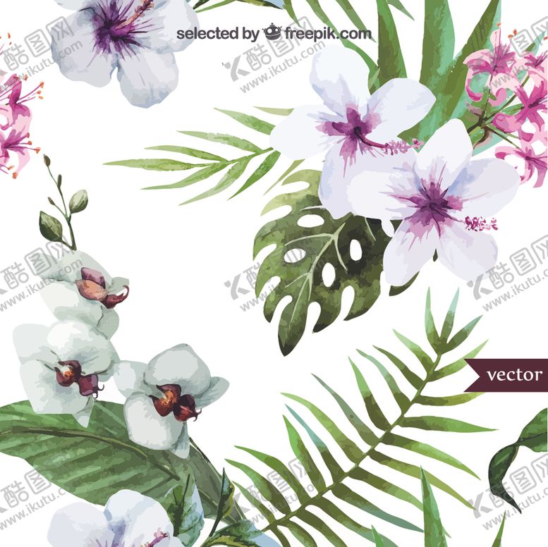 编号：83444109280721165148【酷图网】源文件下载-扶桑花和蝴蝶兰