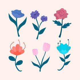 各种花朵手绘卉插图植物鲜
