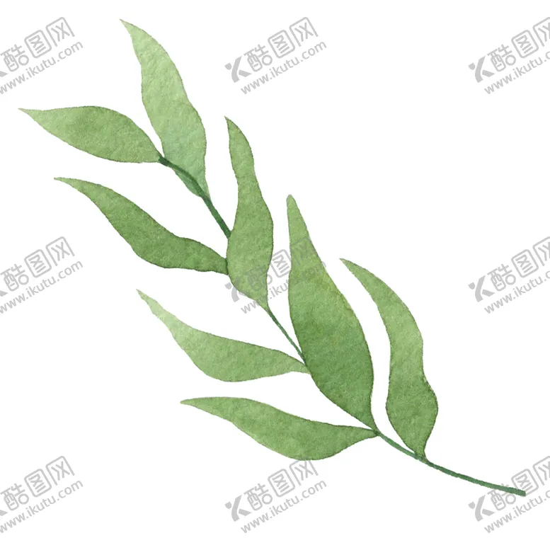 编号：46692402061025481710【酷图网】源文件下载-水彩树叶树枝 
