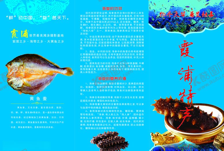 编号：34255806232019558804【酷图网】源文件下载-海参