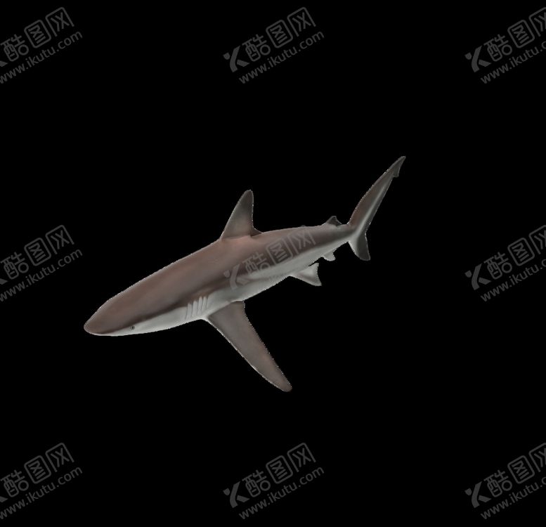 编号：26865607011141548314【酷图网】源文件下载-海洋生物