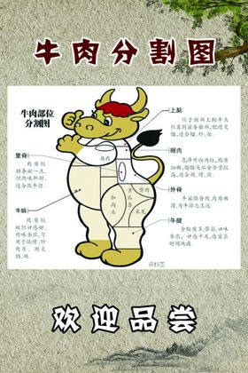牛肉分割图饭店展板