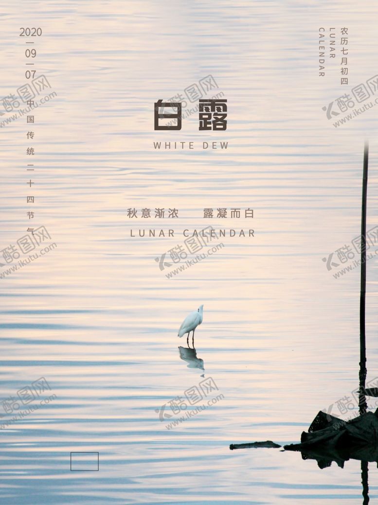 编号：38851104140348037441【酷图网】源文件下载-白露海报