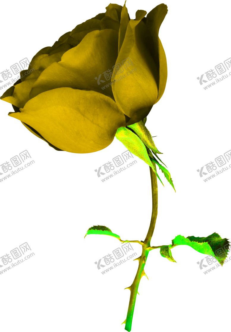 编号：59127607031751297917【酷图网】源文件下载-花素材