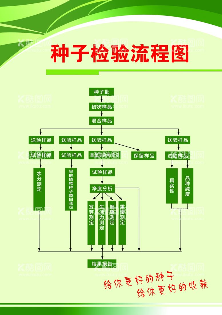 编号：45317611262052185269【酷图网】源文件下载-种子检验流程图