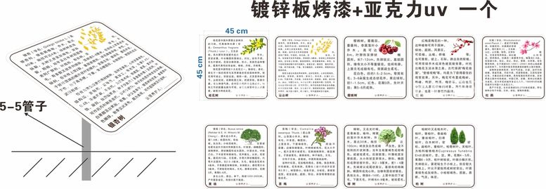 编号：92740911261214063128【酷图网】源文件下载-花草牌