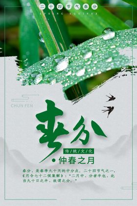 春分插画海报二十四节气天